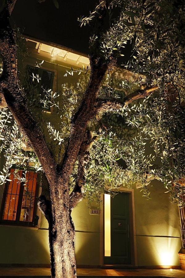 B&B Ulivo Gaio San Miniato Bagian luar foto